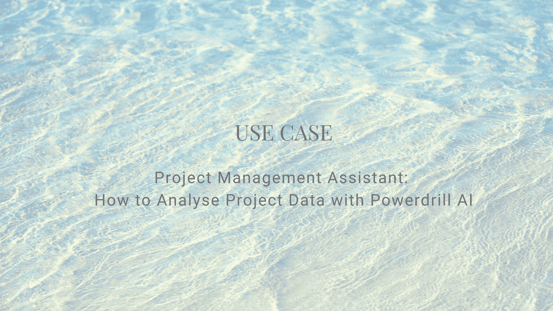 Project Management Assistant: How to Analyse Project Data with Powerdrill AI