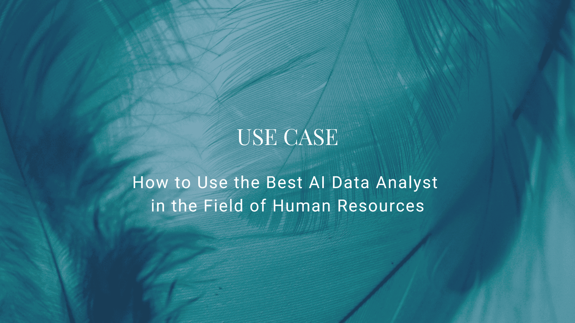How to Use AI Chatbots in the Field of Human Resources