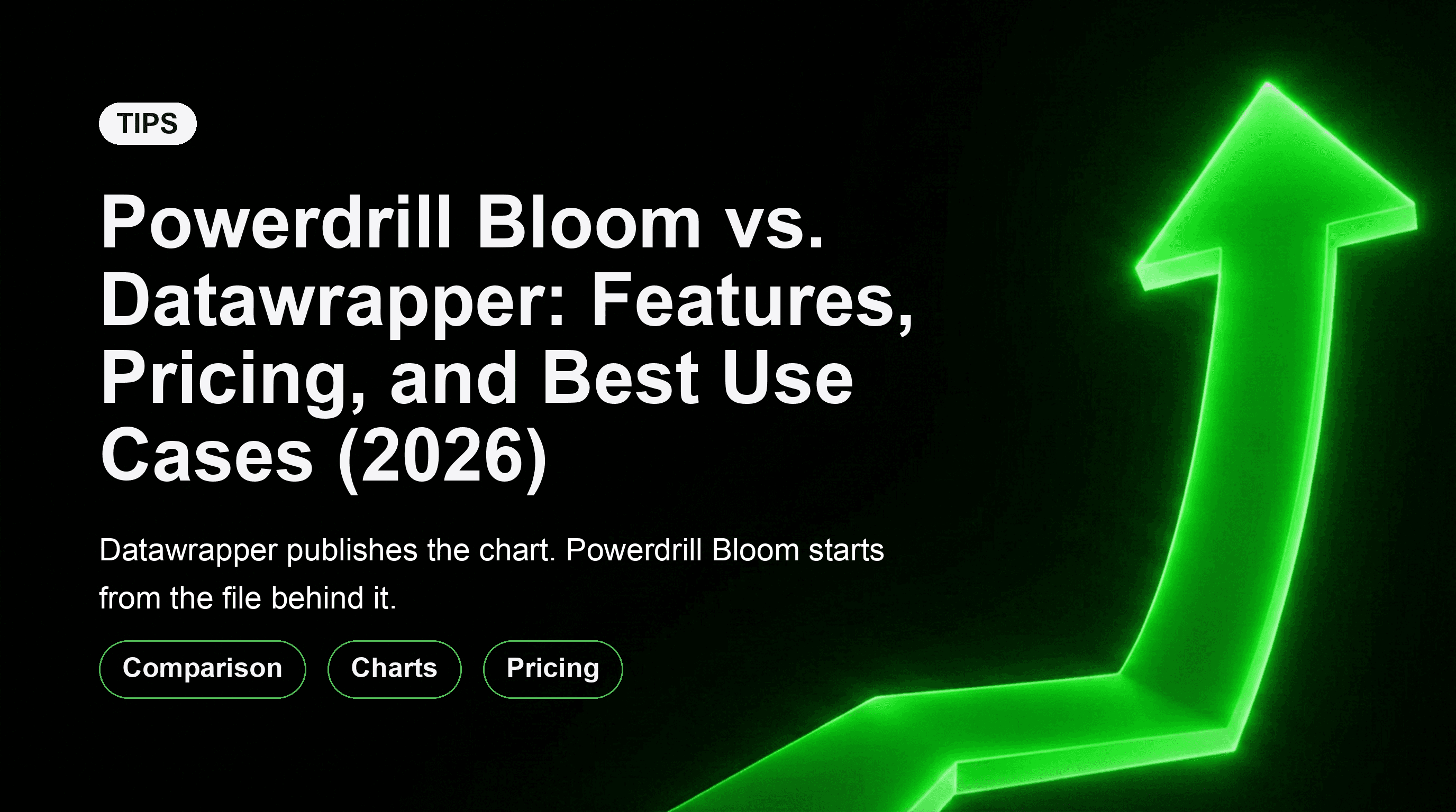 Powerdrill Bloom vs. Datawrapper: Features, Pricing, and Best Use Cases (2026)